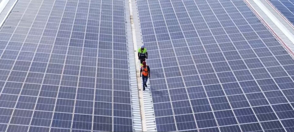 El terminal portuario cuenta en la actualidad con dos plantas fotovoltaicas.
