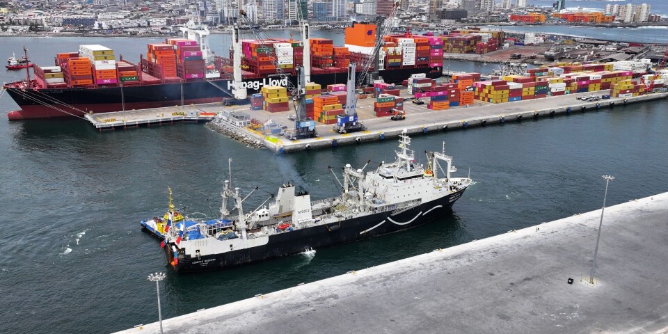 El buque factoría llegó a Iquique con 1.600 toneladas de carga.