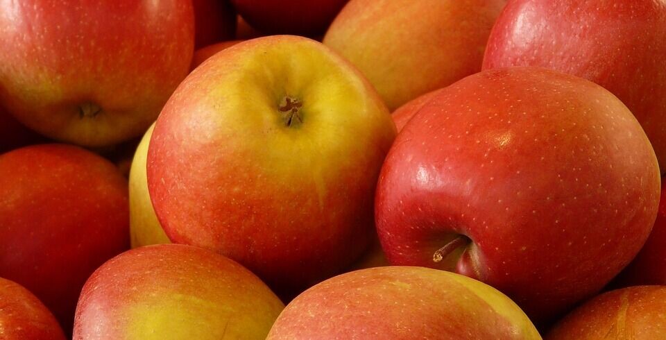 El valor exportado en alimentos desde Chile aumentó en todos los principales mercados de destino.