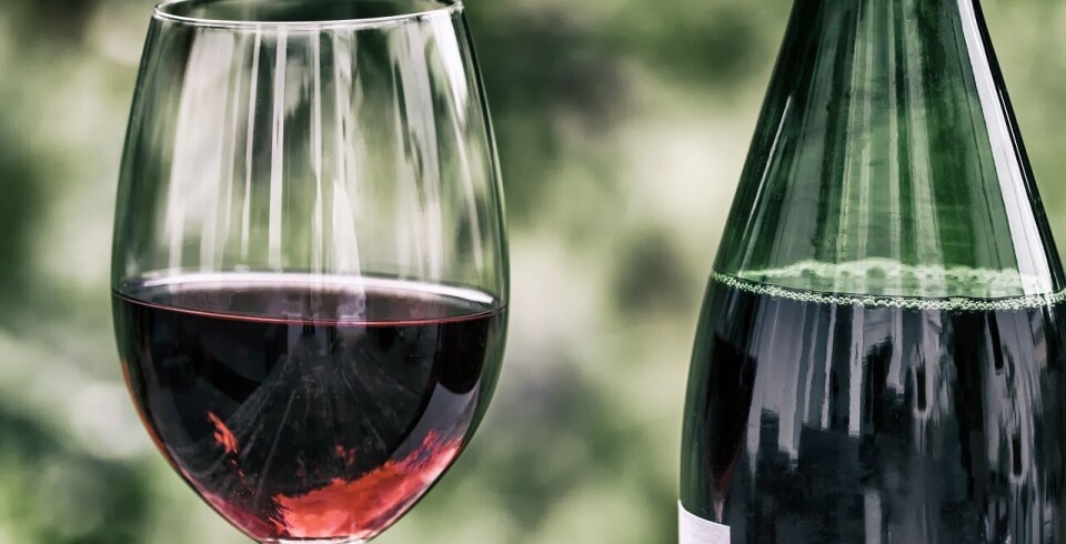 ProChile destacó el crecimiento en los envíos de vinos al extranjero.