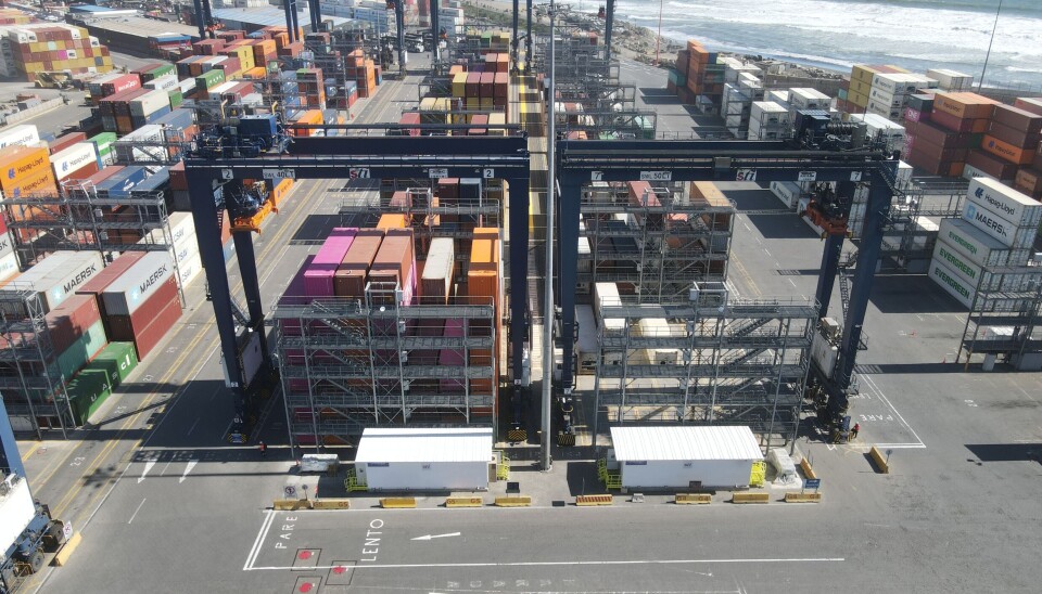 Las cerezas son uno de los principales productos de exportación al mercado asiático.