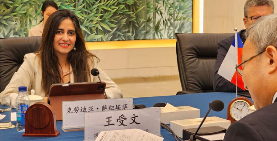 Claudia Sanhueza, subsecretaria de Relaciones Económicas Internacionales.