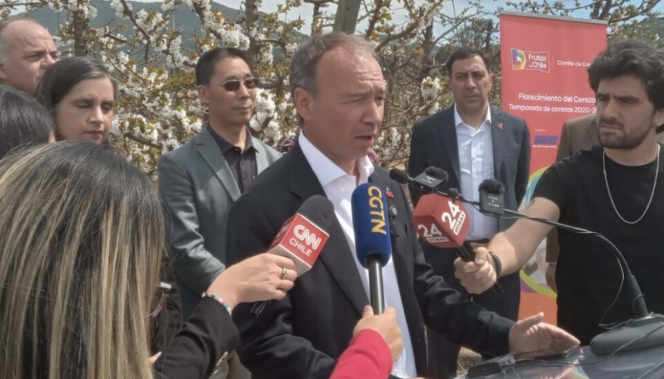 Iván Marambio, presidente de Frutas de Chile.