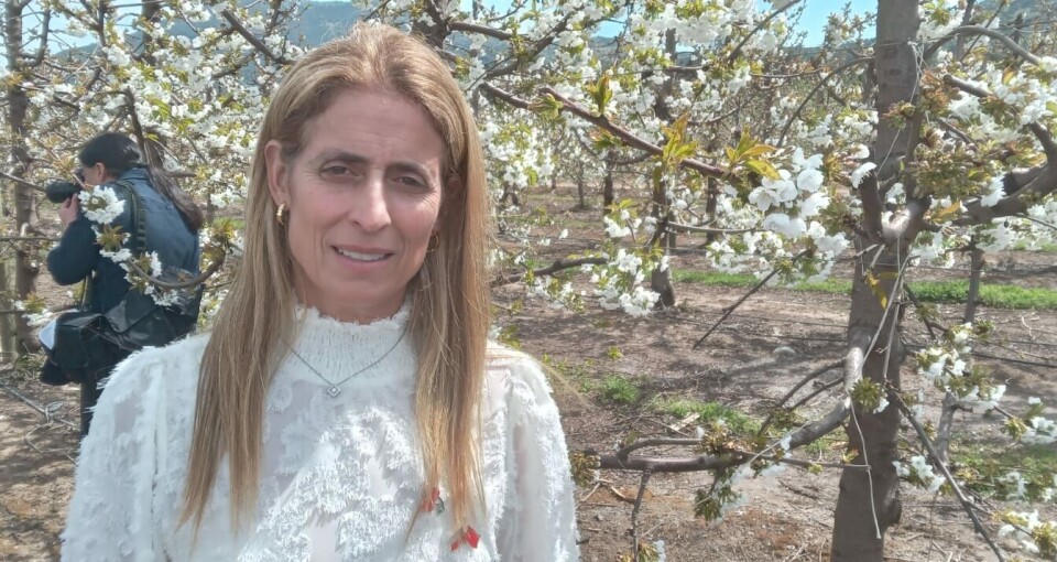 Claudia Soler, directora ejecutiva del Comité de Cerezas de Frutas de Chile.