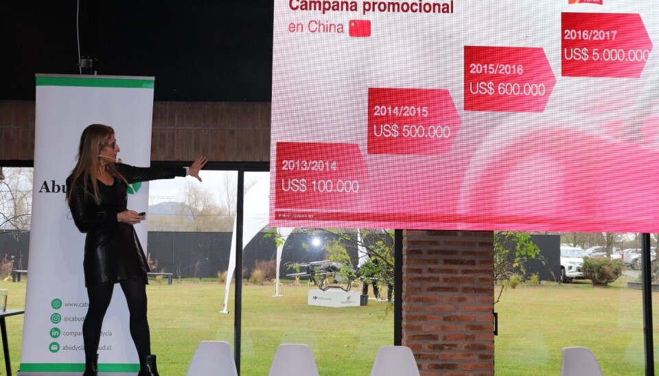 La campaña promocional es clave para la industria de las cerezas en el mercado chino.
