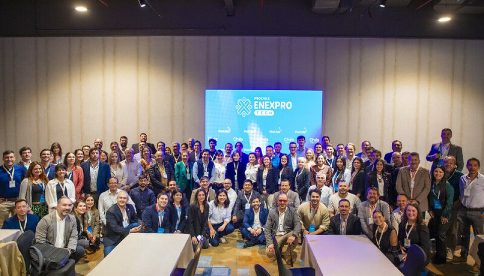 Los representantes nacionales en el encuentro organizado por ProChile.
