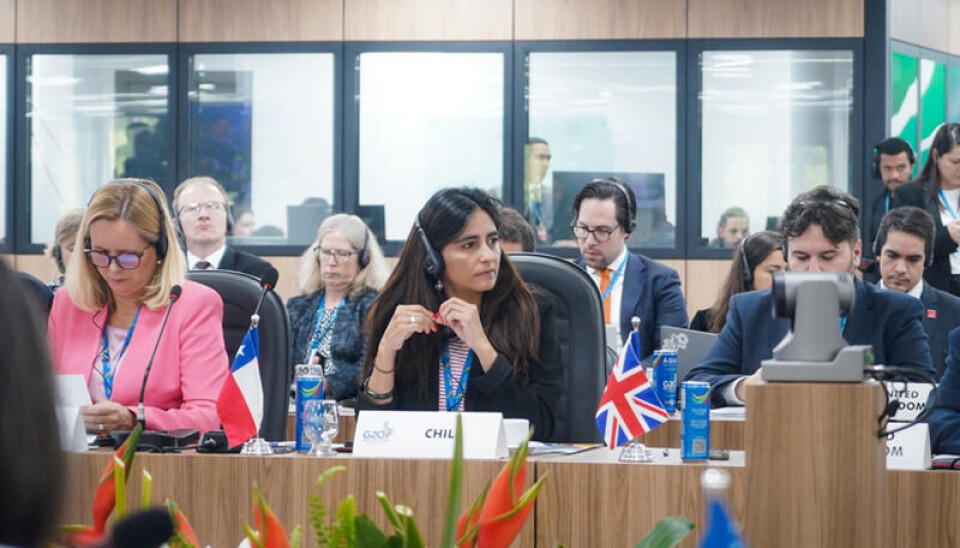 La subsecretaria Claudia Sanhueza encabezó la delegación chilena en la reunión.