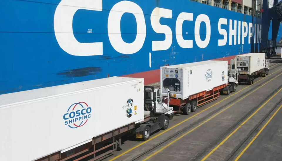 El monitoreo de contenedores refrigerados es clave en la cadena logística.