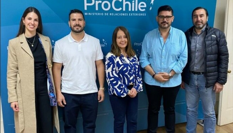 Importadores forestales mexicanos destacaron su relación con la zona sur de Chile.
