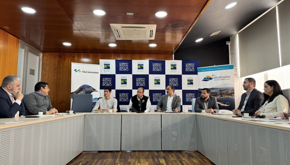Miembros del Consejo en plena reunión de coordinación en la Región del Biobío.