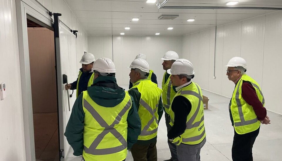 Autoridades del SAG y del terminal portuario durante la inspección del organismo.
