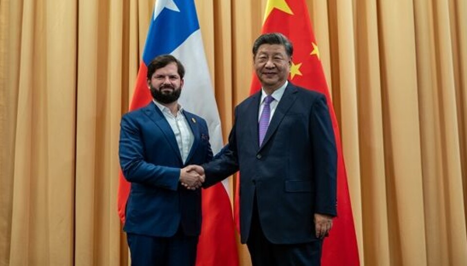 Presidentes de Chile y China tras la reunión que sostuvieron en el marco de la APEC 2024.