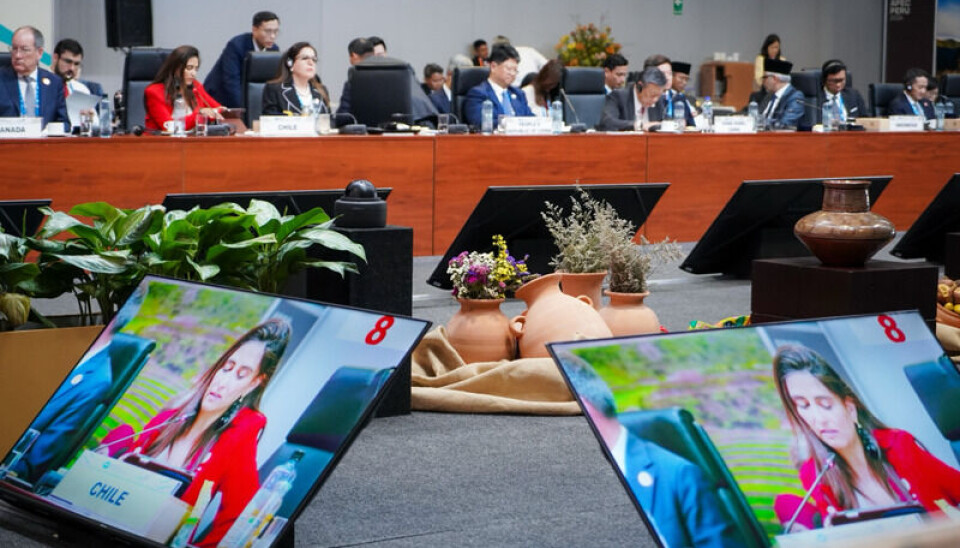 La subsecretaria Claudia Sanhueza en su exposición ante la Reunión Ministerial Conjunta.