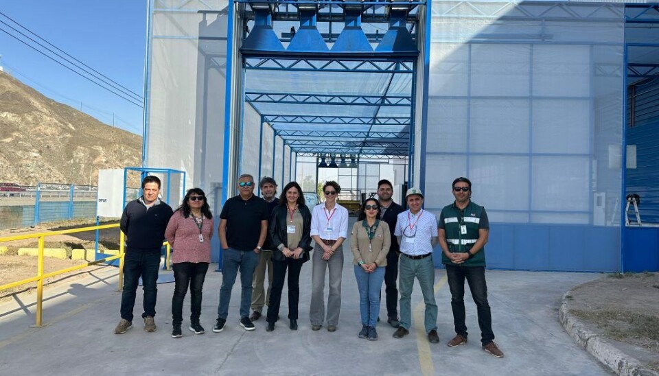 Los sitios de inspección serán clave para las exportaciones de frutas a EE.UU.
