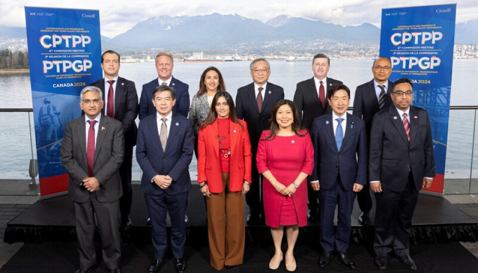 La subsecretaria Claudia Sanhueza junto a los representantes de los países en la Comisión.