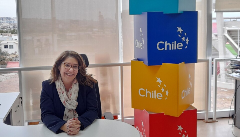 'En minería estamos trabajando con los servicios asociados a la industria', señaló la directora de ProChile Coquimbo.