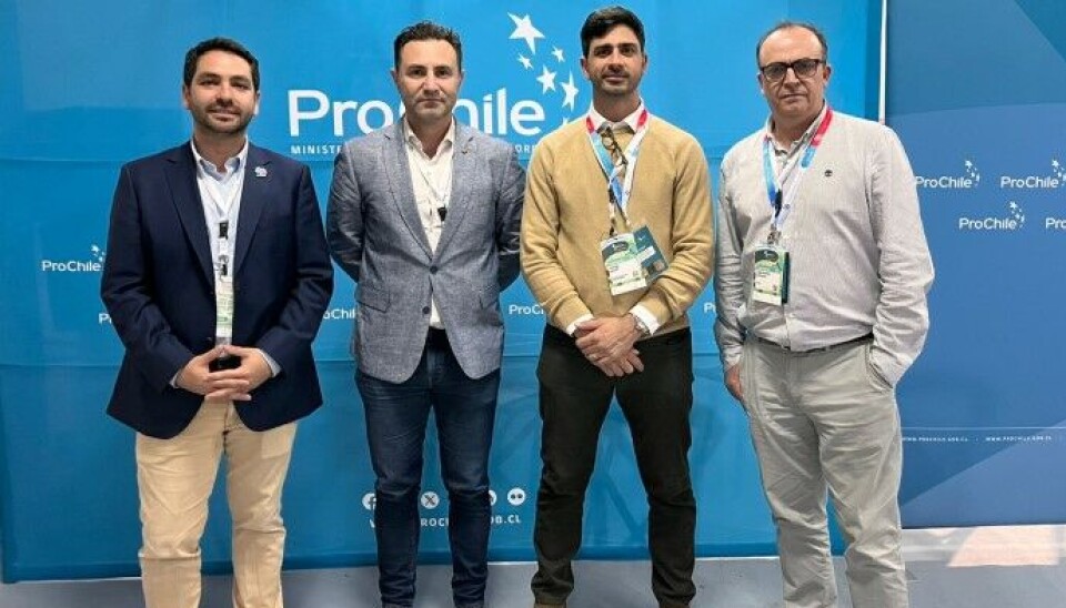 El director de la Macro Zona Sur de ProChile junto a la delegación de Paraguay.