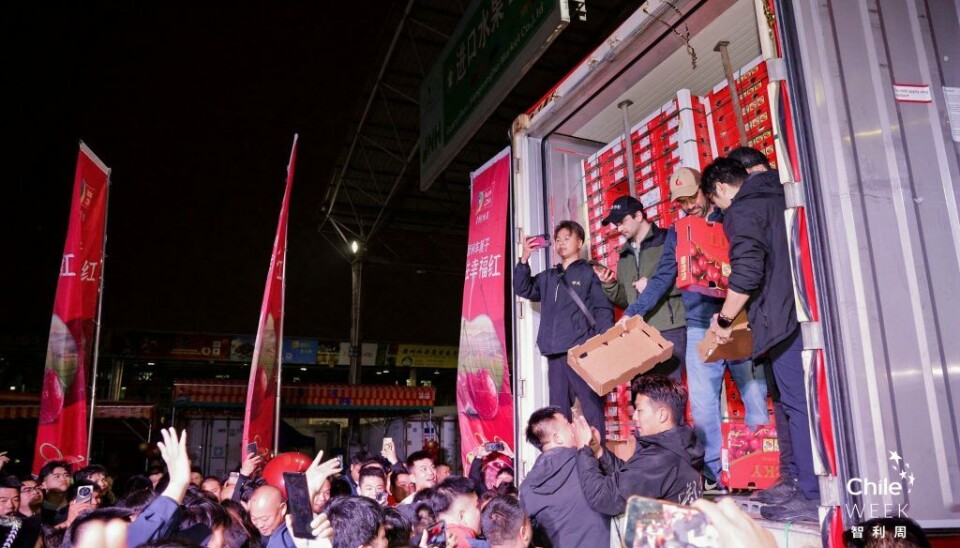 Durante 21 días navegaron las cerezas chilenas para llegar al mercado chino.