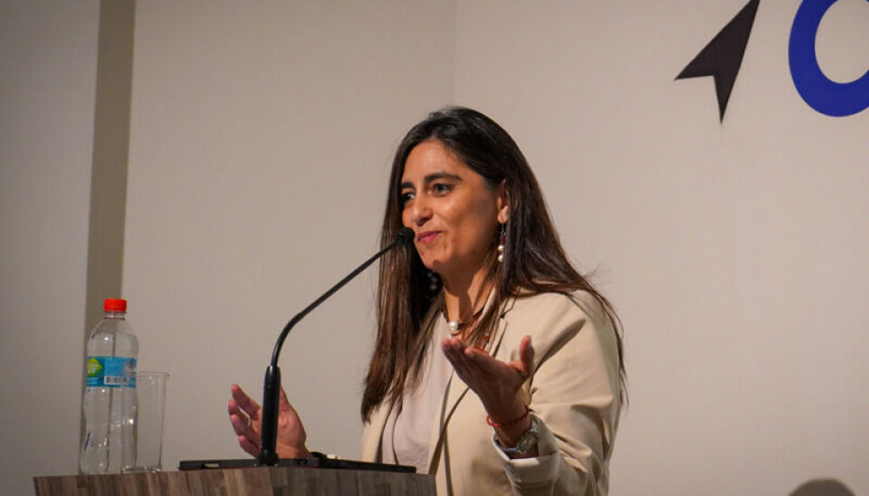 Claudia Sanhueza, subsecretaria de Relaciones Económicas Internacionales.