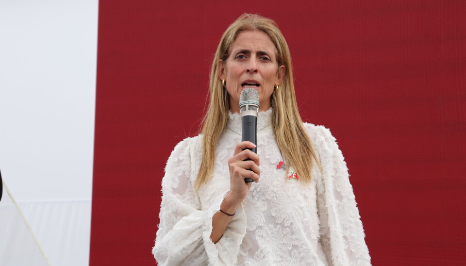 Claudia Soler, directora ejecutiva del Comité de Cerezas de Frutas de Chile.