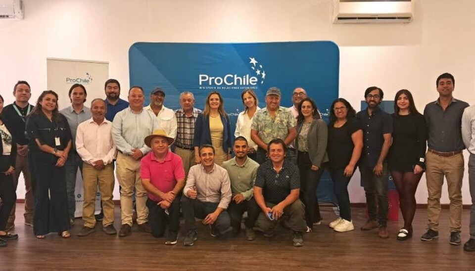 Participantes de la Mesa Regional tras la realización del último evento del año 2024.