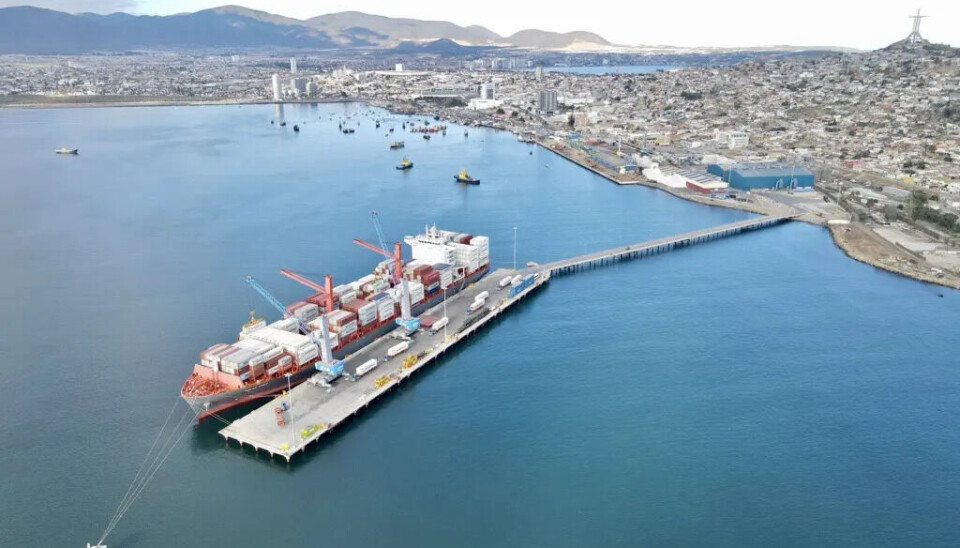 La próxima temporada se espera una consolidación logística en el terminal portuario.