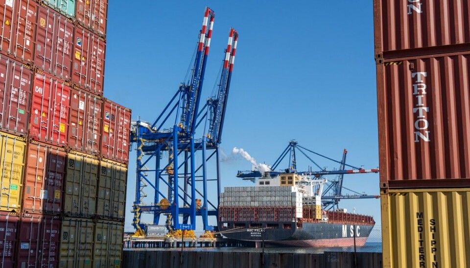 El objetivo en 2025 es aumentar en un 10% la cantidad de toneladas en comparación al año pasado.