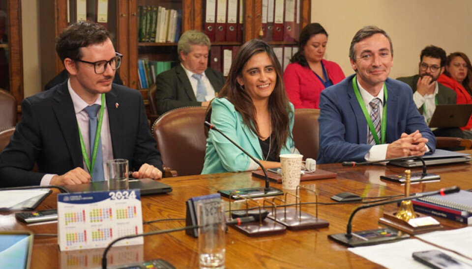 La subsecretaria Claudia Sanhueza en la sesión de la Comisión de RR.EE.