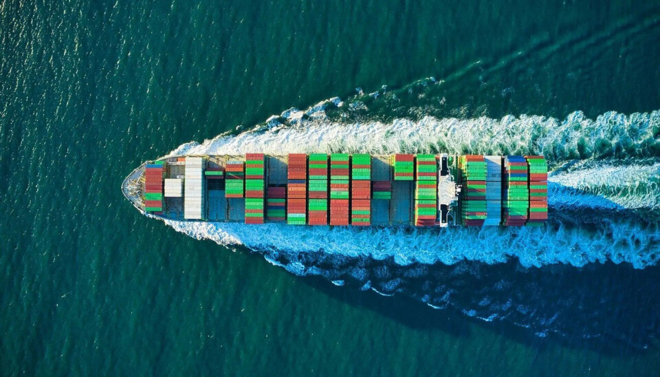 Se espera mantener el nivel de exportaciones evidenciado durante el 2024.