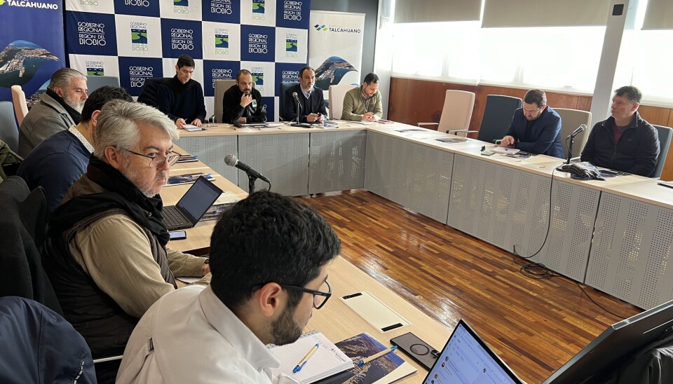 Los asistentes a la sesión del Consejo de Coordinación en plena mesa de trabajo.
