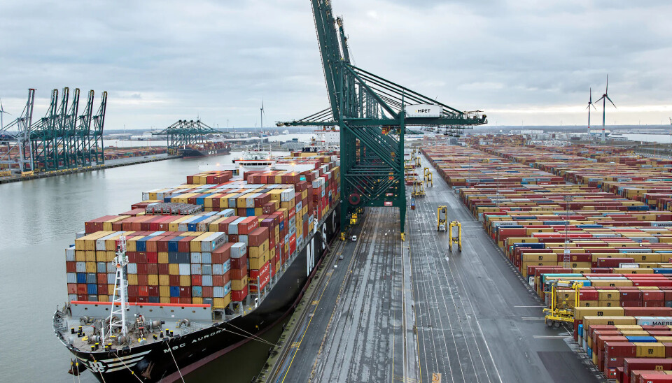 Los contenedores fueron claves en el crecimiento del rendimiento del terminal.