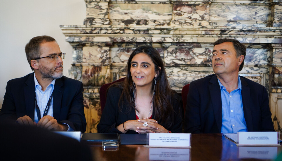 El director general de ProChile, Ignacio Fernández; la subsecretaria Claudia Sanhueza de Subrei; y el ministro de Agricultura, Esteban Valenzuela.