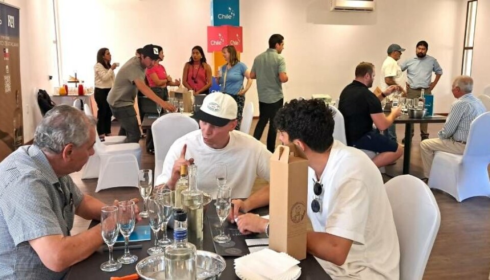 Importadores y productores en la sesión organizada por la oficina regional de ProChile.