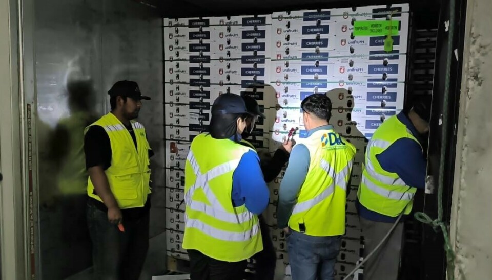 Personal de la compañía durante una inspección a las frutas que se enviaron al extranjero.