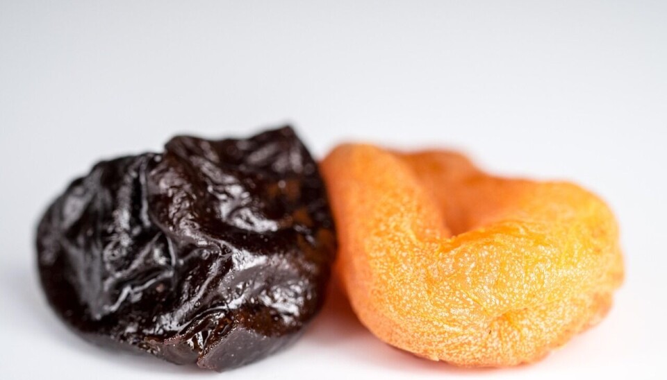 El gremio exportador será representado por Chileprunes en la feria de la India.