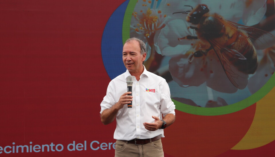 Iván Marambio, presidente de Frutas de Chile.
