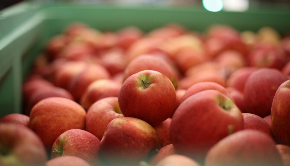 Las manzanas son uno de los productos más consumidos por los japoneses.