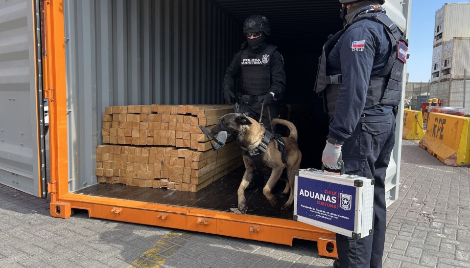 El operativo incluyó despliegue de helicóptero y brigadas caninas.