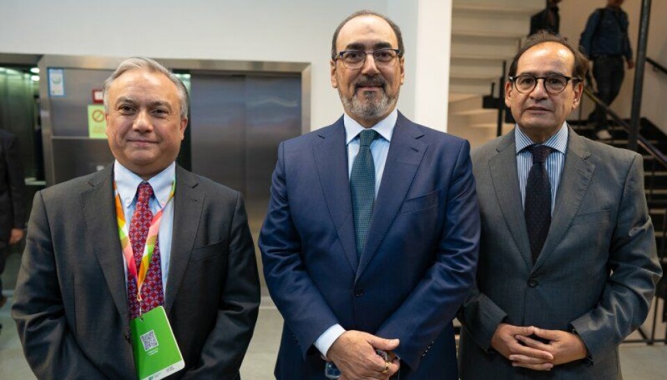 El molo de abrigo es una de las obras más importantes del proyecto.