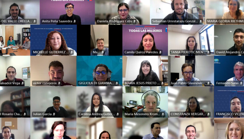 Los participantes durante la reunión virtual que se desarrolló en el marco de APEC Corea 2025.