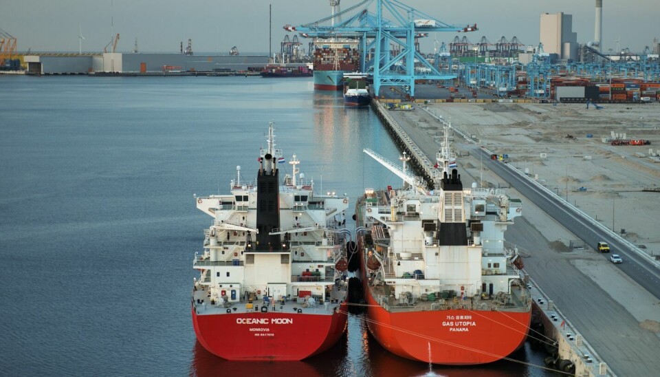 El puerto es uno de los más importantes en esta materia en Europa.