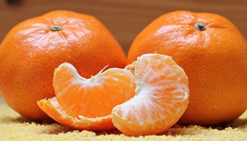 Mandarinas y clementinas impulsaron el crecimiento.