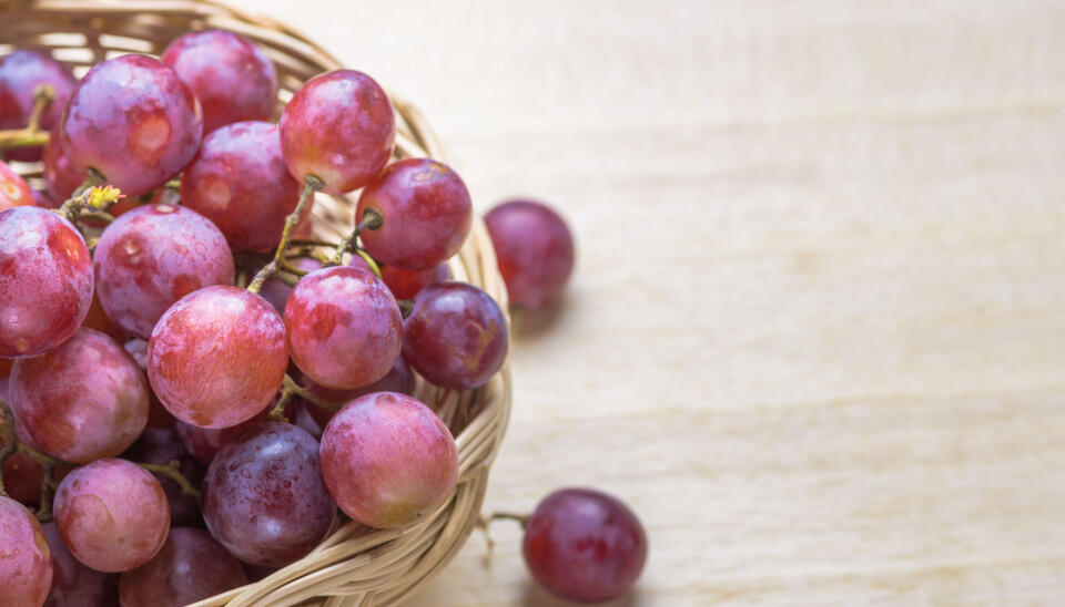 Las uvas frescas fueron el principal producto durante el primer trimestre.