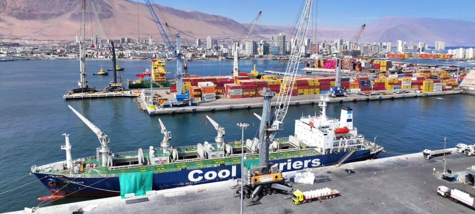 Grúa móvil comenzó a funcionar en Puerto de Iquique para reforzar operaciones mineras