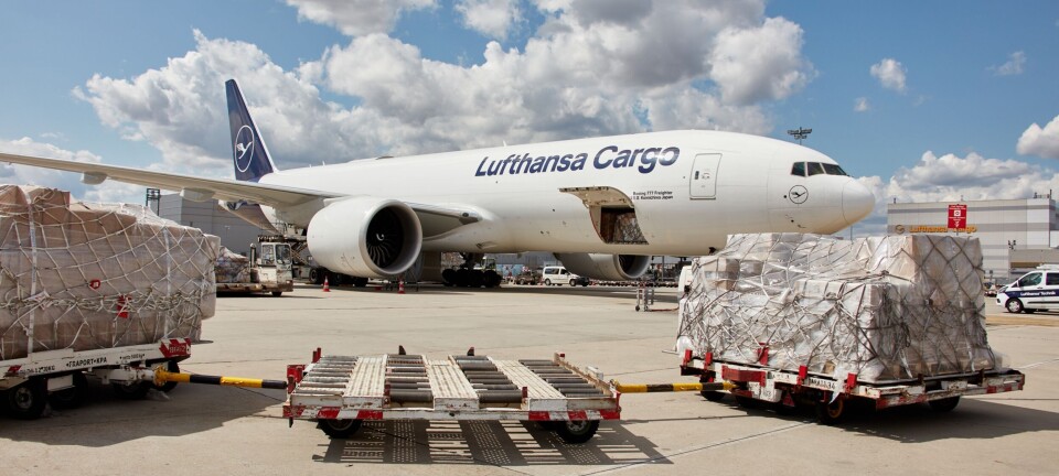 Lufthansa Cargo comercializará capacidades de carga de ITA Airways y suma quinto centro en Roma
