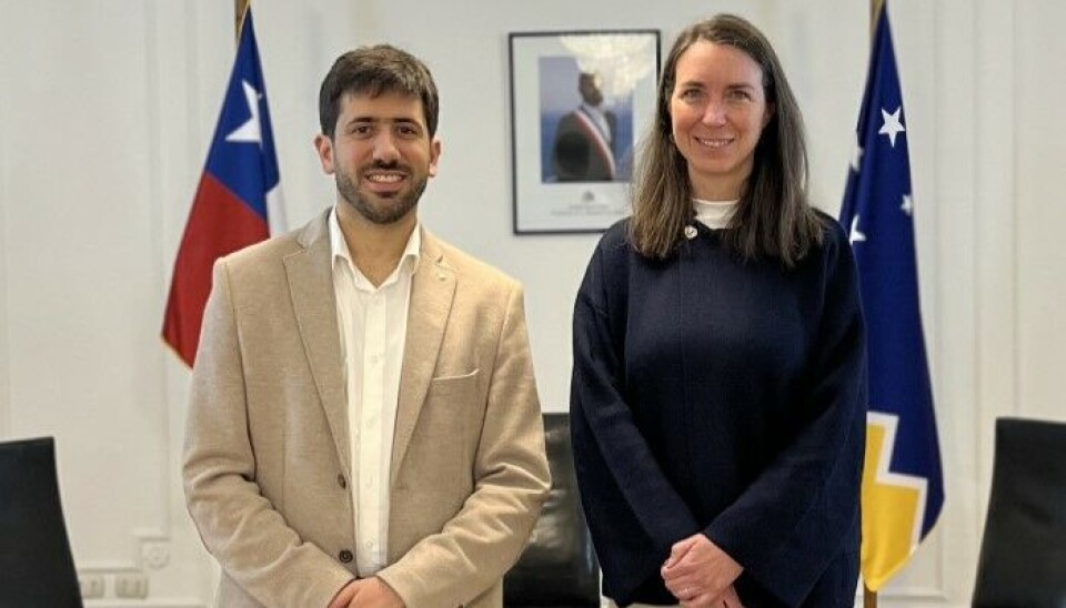 La nueva directora junto al Delegado Presidencial Regional, José Ruiz Pivcevic.