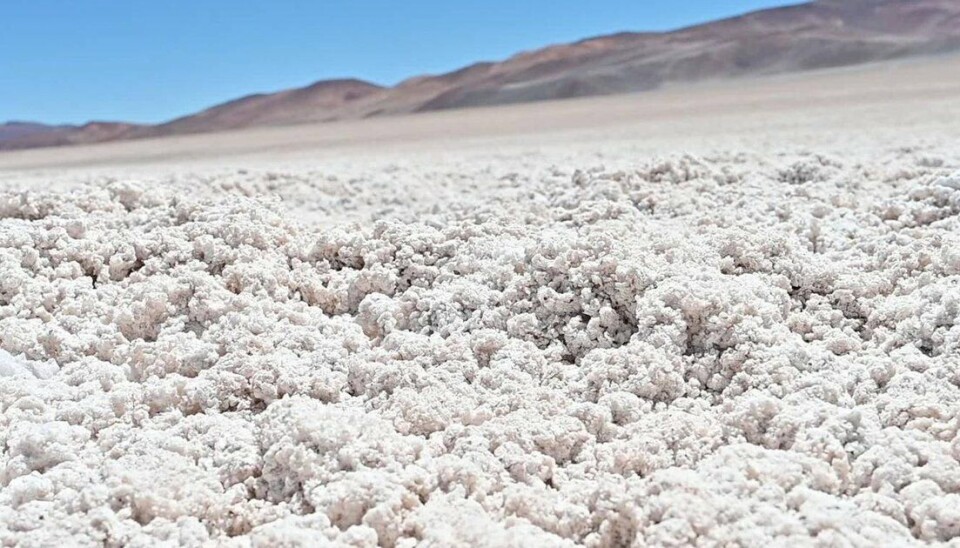El volumen exportado alcanzó un récord de 314 mil toneladas en 2024.
