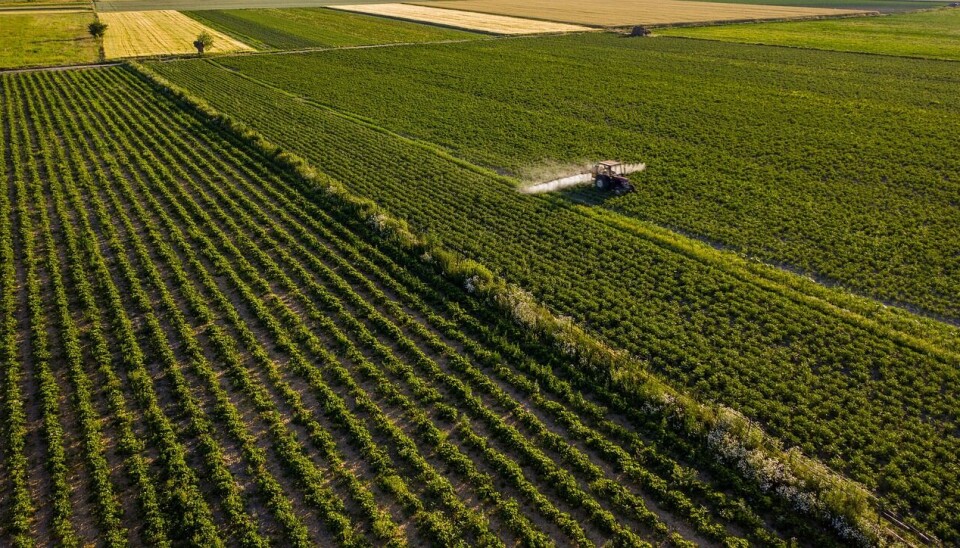 La iniciativa se enfocará en el sector agroindustrial.