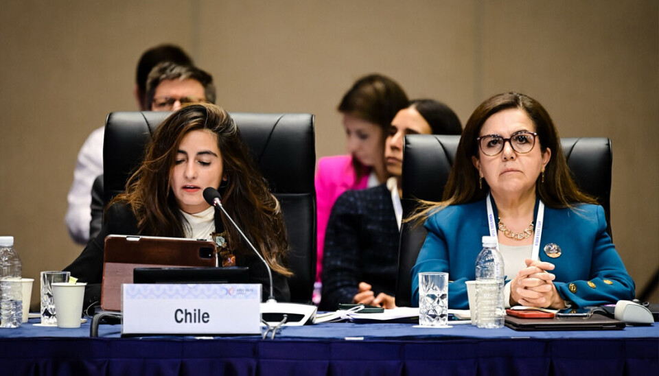 Claudia Sanhueza, subsecretaria de Subrei.