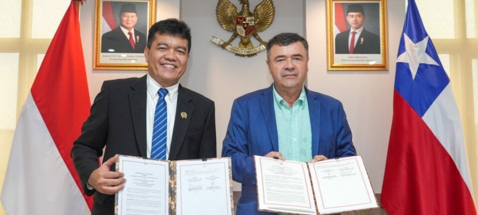 Chile e Indonesia acordaron cooperación en temas fitosanitarios y certificación electrónica